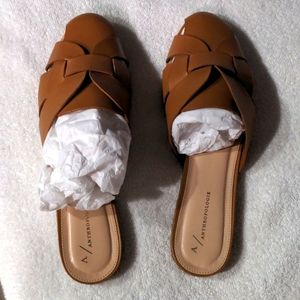 Anthropologie slides